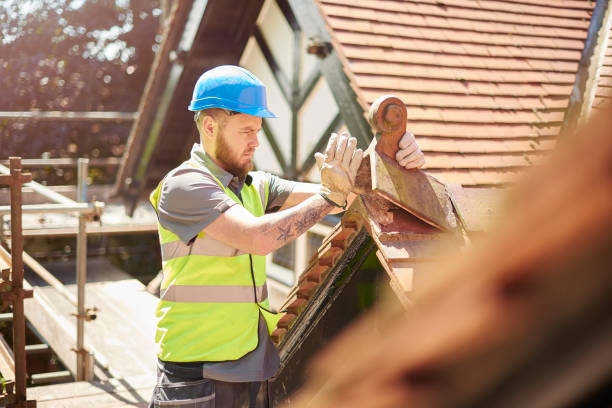 Best Roof Gutter Cleaning  in Linden, TN